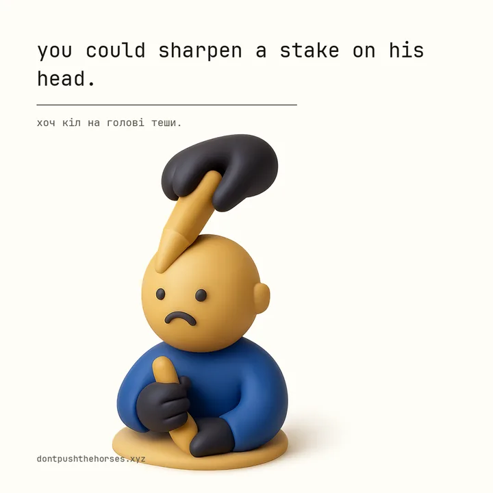 “You could sharpen a stake on his head.” — Хоч кіл на голові теши.