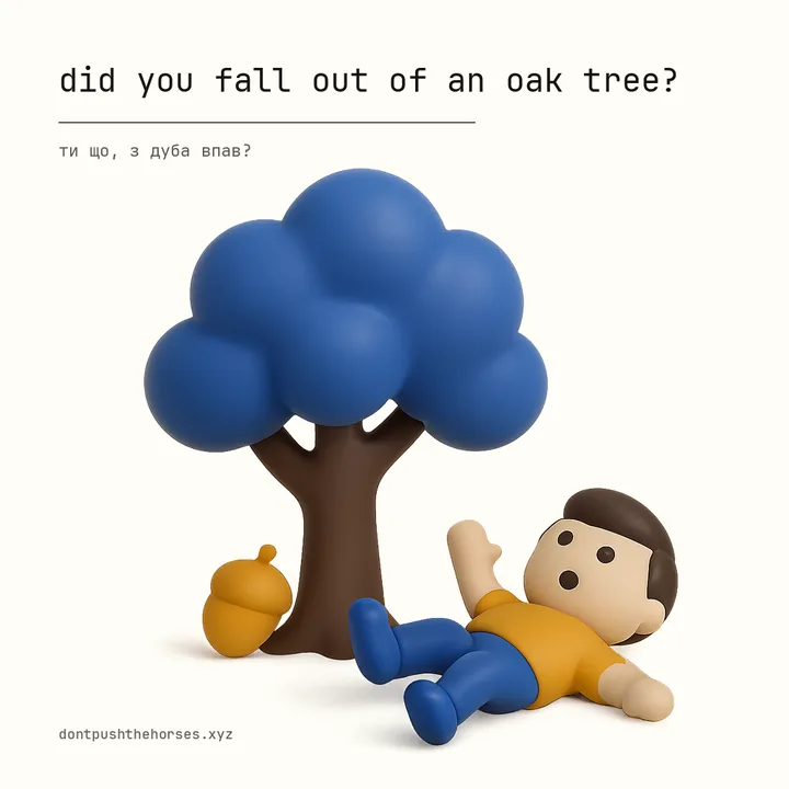 “Did you fall out of an oak tree?” — Ти що, з дуба впав?